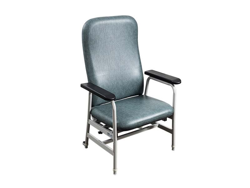 Day Chair, Euro, Extra Care, 650mm, Slate